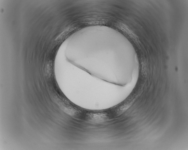 X0000070870165200607150130