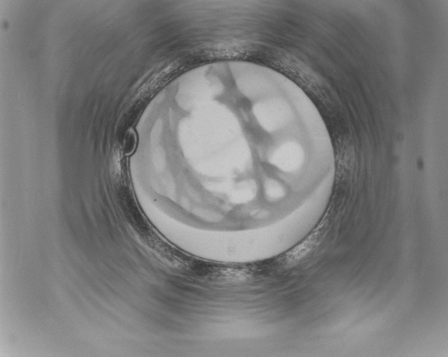 X0000070870166200607150130