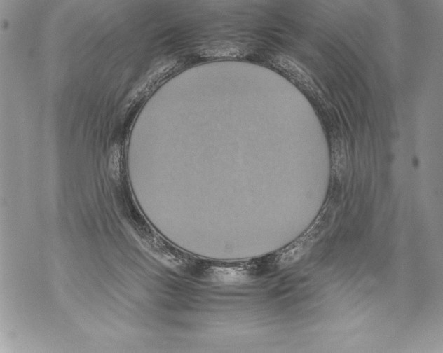 X0000070870167200607150130