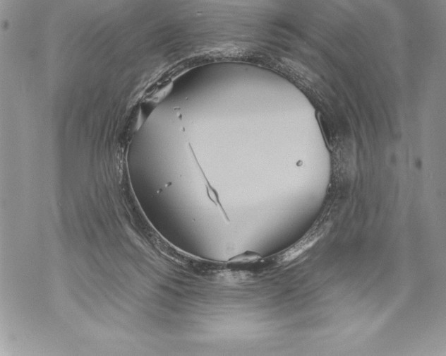 X0000070870168200607150130