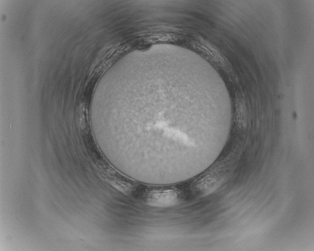 X0000070870169200607150130