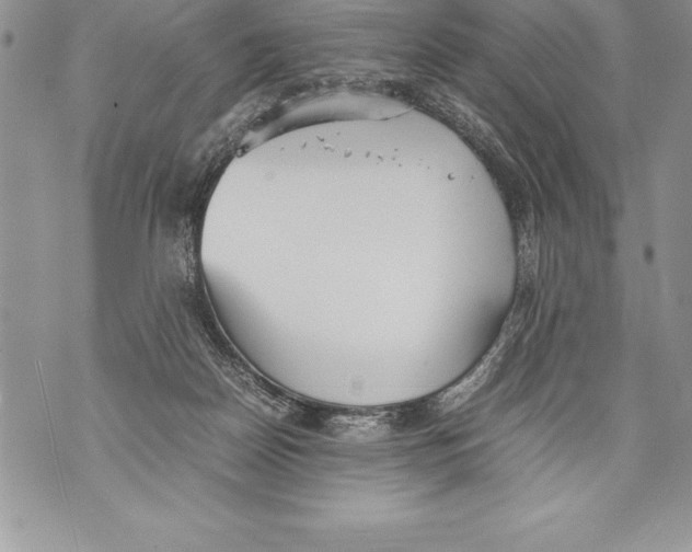 X0000070870170200607150130