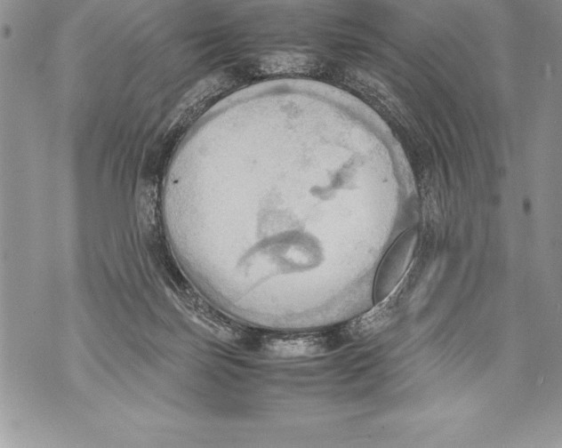 X0000070870171200607150130