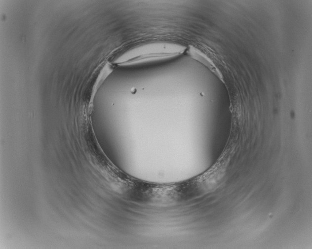 X0000070870172200607150130