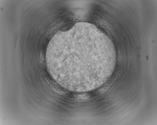 X0000070870173200607150130