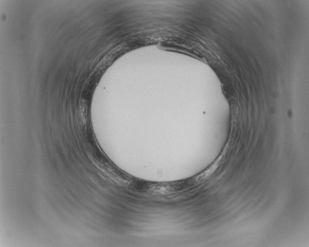 X0000070870174200607150130