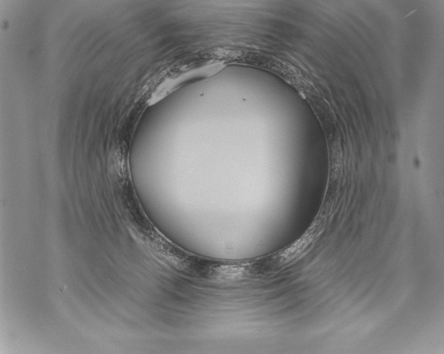 X0000070870176200607150130