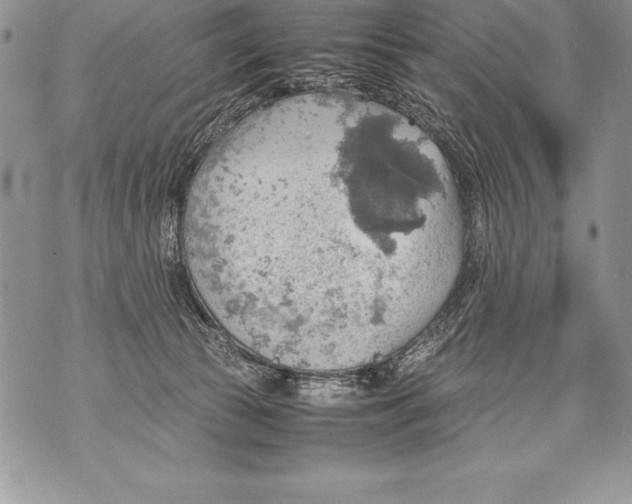 X0000070870177200607150130