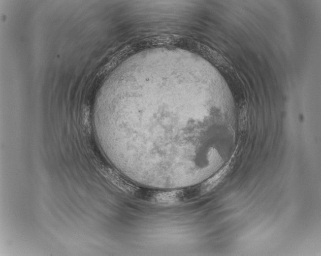 X0000070870178200607150130