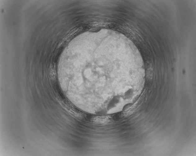 X0000070870179200607150130