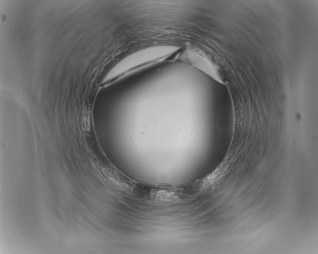 X0000070870180200607150130