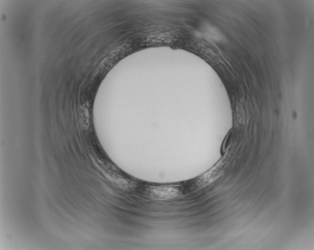 X0000070870183200607150130