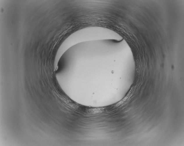 X0000070870184200607150130