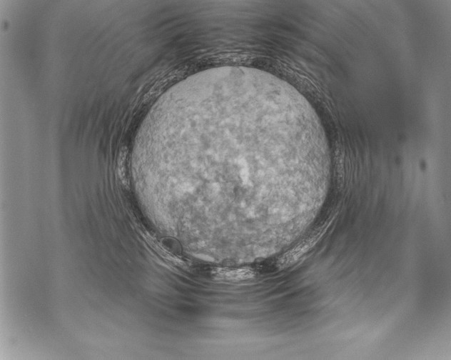 X0000070870185200607150130