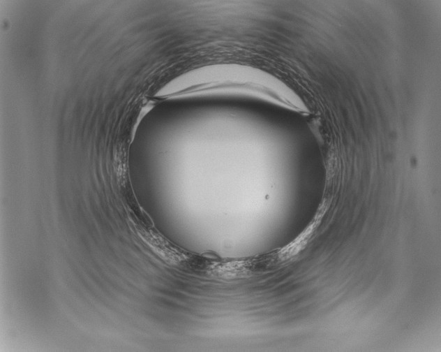 X0000070870186200607150130