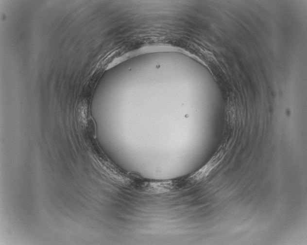 X0000070870188200607150130