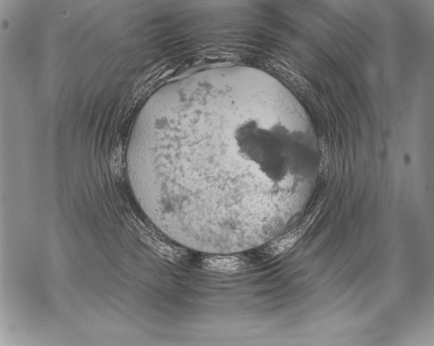 X0000070870189200607150130