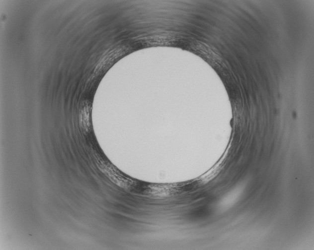 X0000070870190200607150130