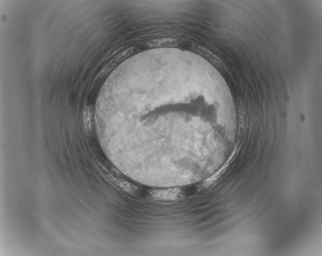 X0000070870191200607150130