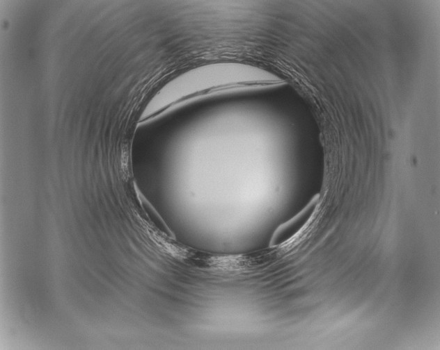 X0000070870192200607150130