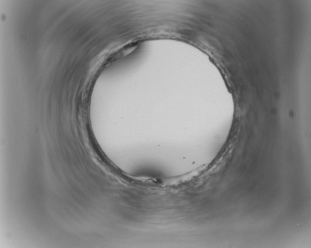 X0000070870193200607150130