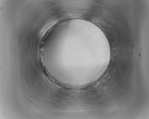 X0000070870194200607150130