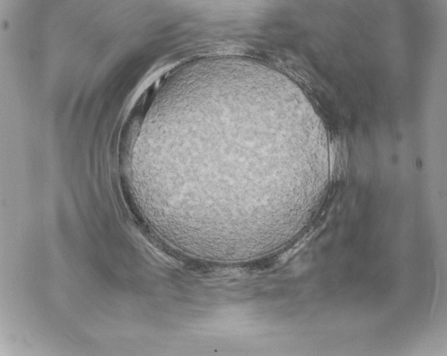 X0000070870195200607150130