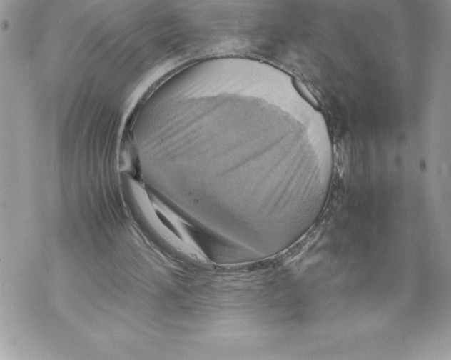 X0000070870196200607150130