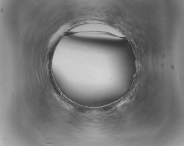 X0000070870197200607150130