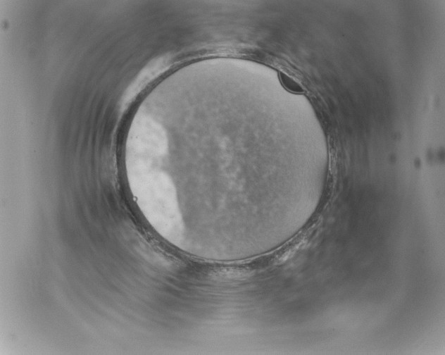 X0000070870198200607150130