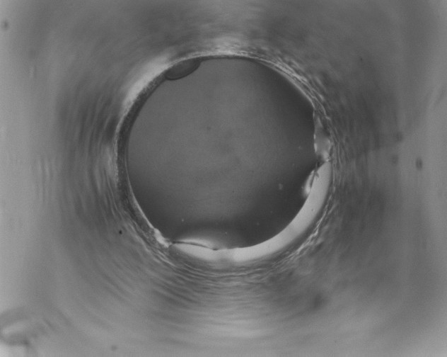 X0000070870200200607150130