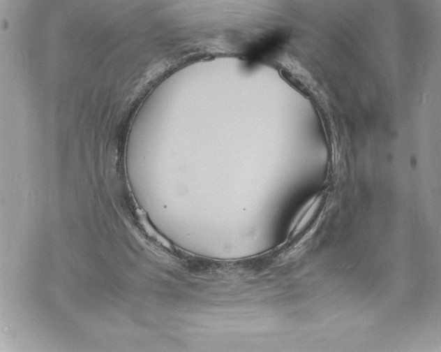 X0000070870201200607150130