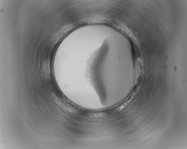 X0000070870202200607150130