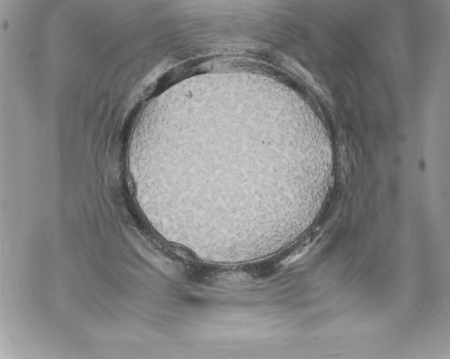 X0000070870203200607150130