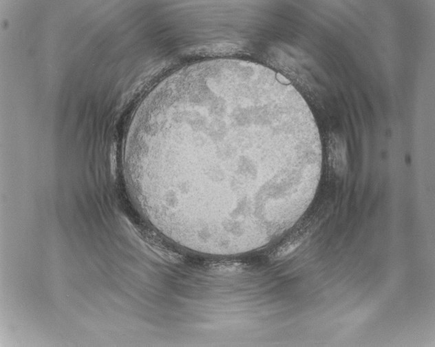 X0000070870206200607150129