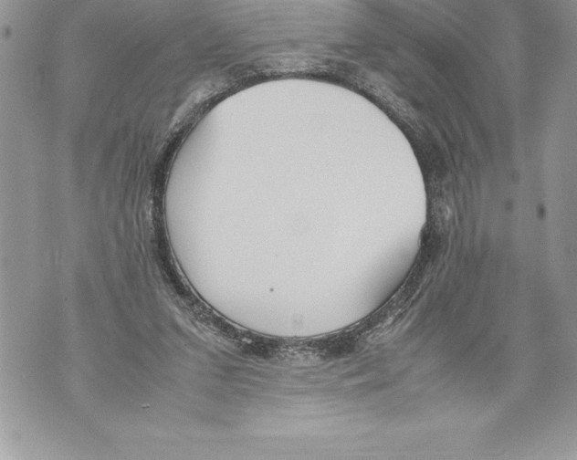 X0000070870207200607150129