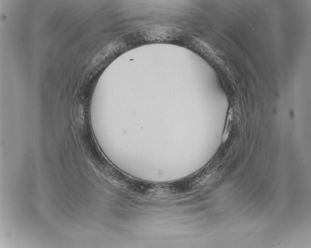 X0000070870211200607150129