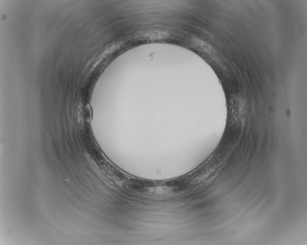 X0000070870212200607150129