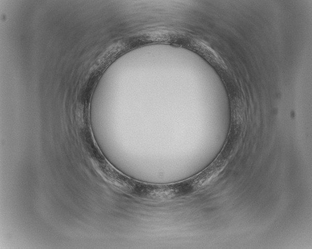 X0000070870213200607150129