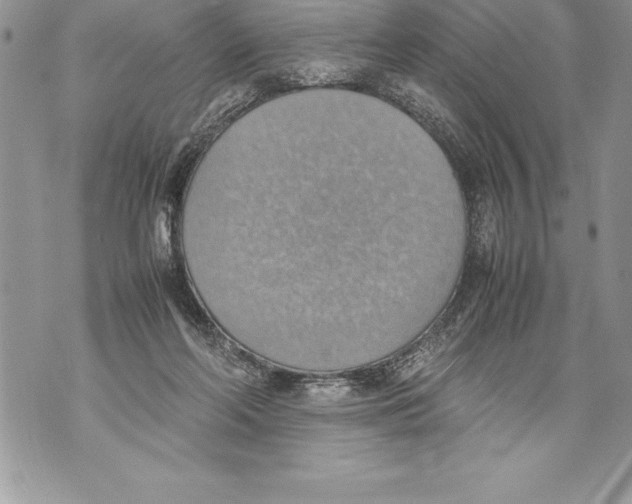 X0000070870214200607150129