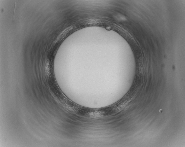 X0000070870216200607150129