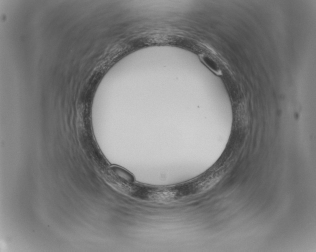 X0000070870217200607150129