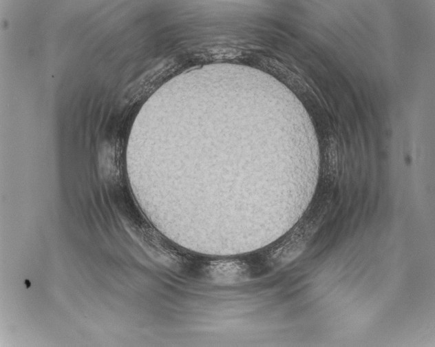 X0000070870218200607150129