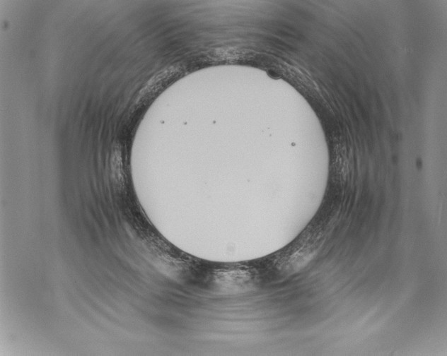 X0000070870220200607150129