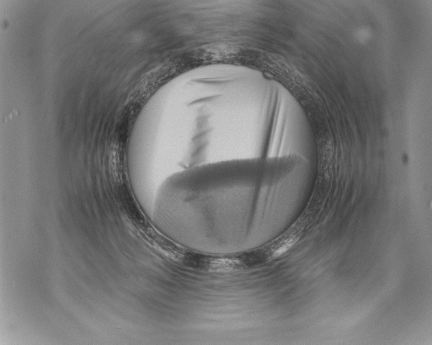 X0000070870222200607150129