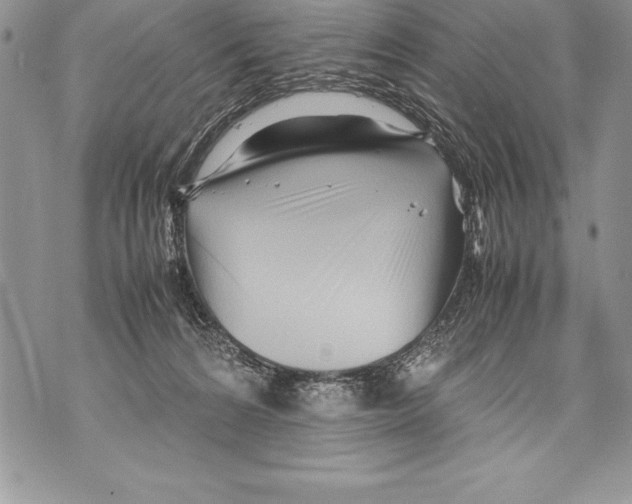 X0000070870224200607150129