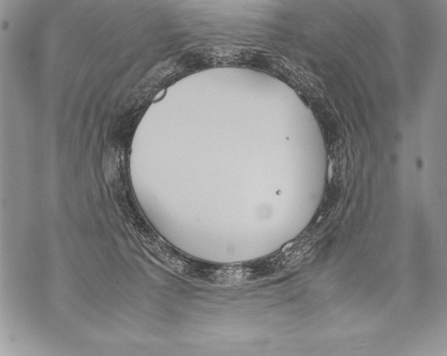 X0000070870225200607150129