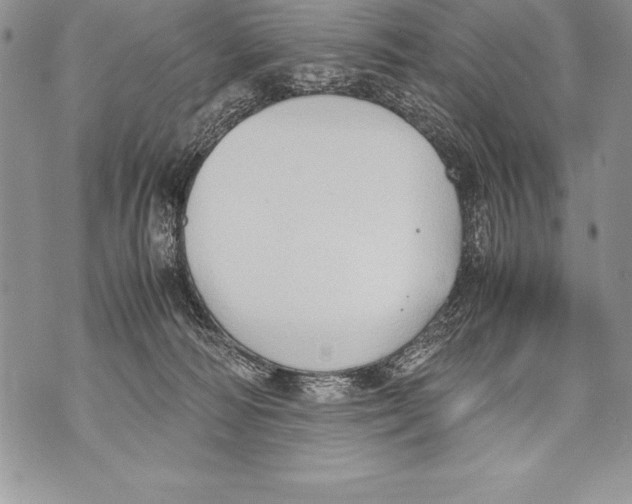 X0000070870226200607150129