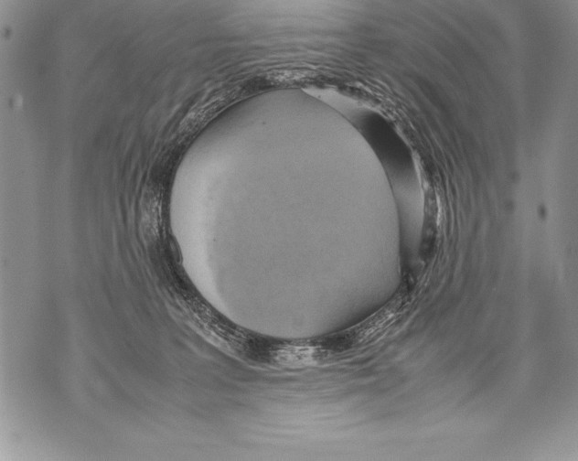 X0000070870227200607150129