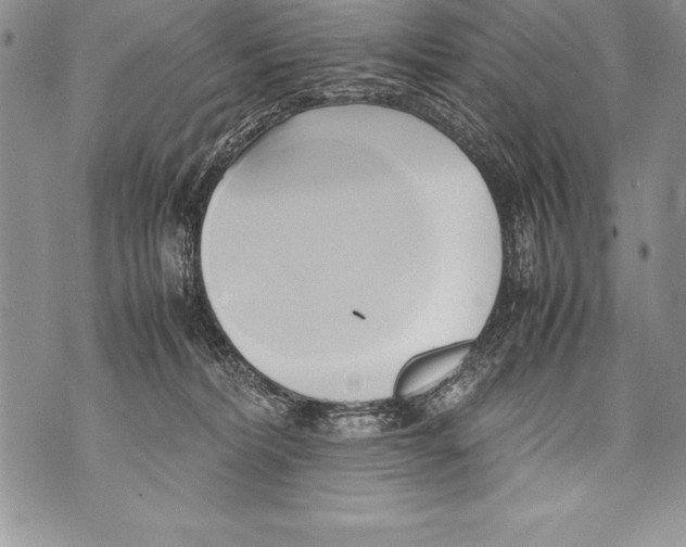 X0000070870228200607150129